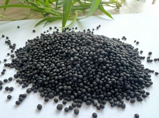 Humic Acid Granular Fertilizer.png